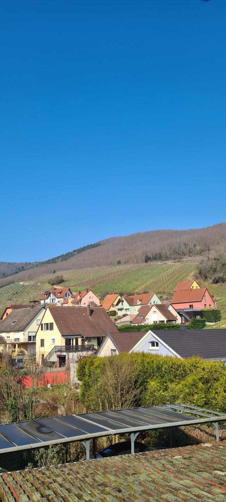 Gite Et Chambres D'Hotes Les Framboises Katzenthal Kamer foto
